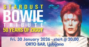 STARDUST-David Bowie Tribute Band