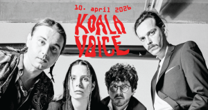 orto fest 2026 koala voice