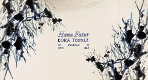 hana fatur,dora tomori