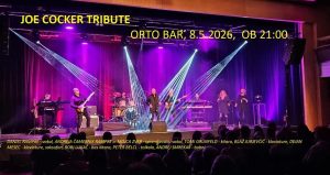 joe cocker tribute band