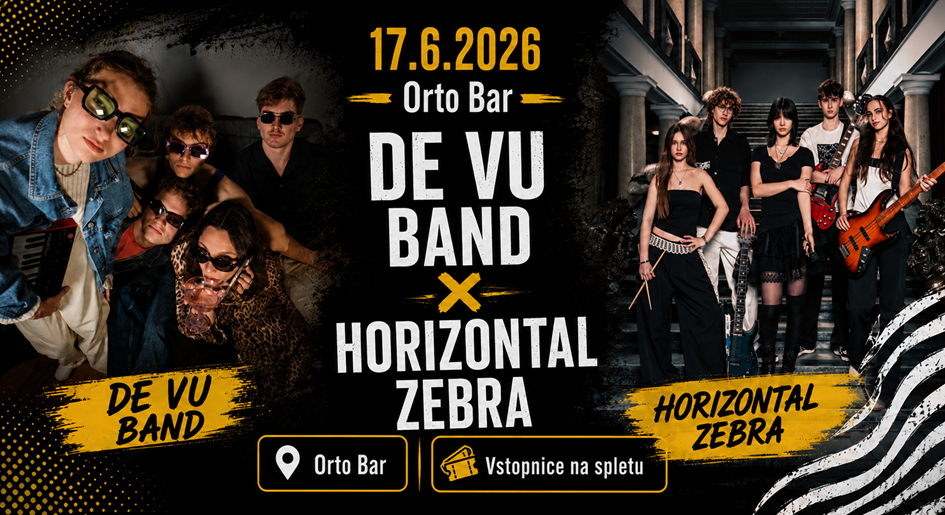 de vu, horizontal zebra de vu, horizontal zebra