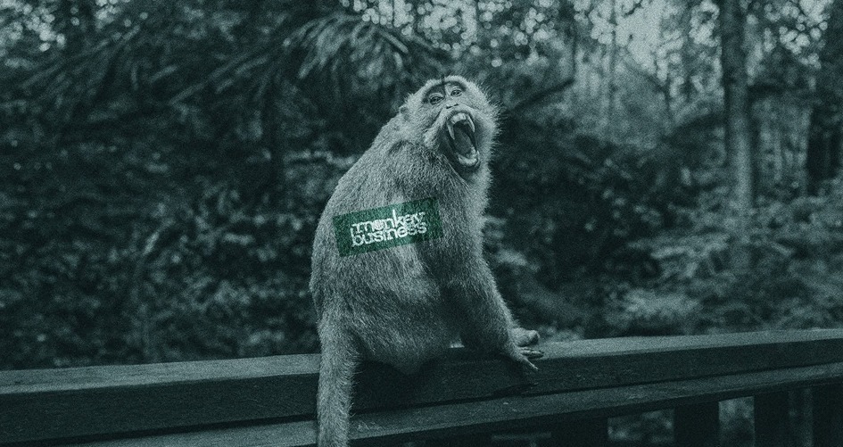 monkey business arctic monkeys tribute band monkey business arctic monkeys tribute band