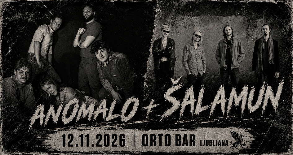 anomalo, Šalamun anomalo, Šalamun